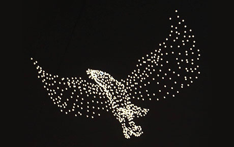 大鵬鳥.jpg